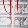 Beejoir | Shell Blood for Oil (SBFO) - Image 4