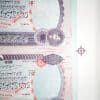 Beejoir | Shell Blood for Oil (SBFO) - Image 3