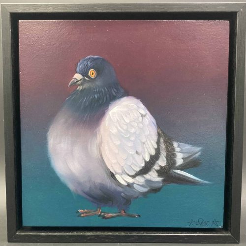 Super A | Pigeon 5