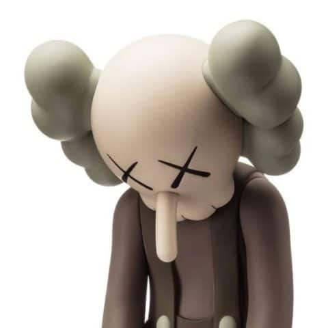 Kaws | Small Lie - brown