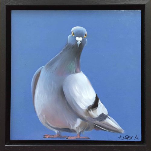 Super A | Pigeon 6